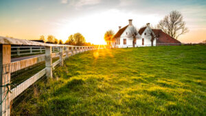 why is modern farmhouse so popular